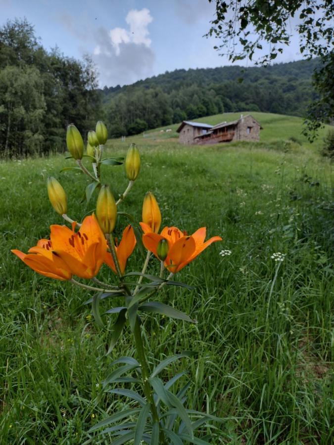 Rifugio Alpino Baudinet - Trek&Relax Bed & Breakfast Chiusa di Pesio Exterior foto