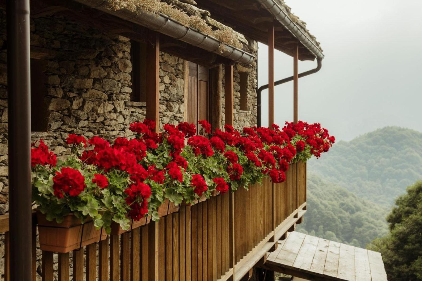 Rifugio Alpino Baudinet - Trek&Relax Bed & Breakfast Chiusa di Pesio Exterior foto